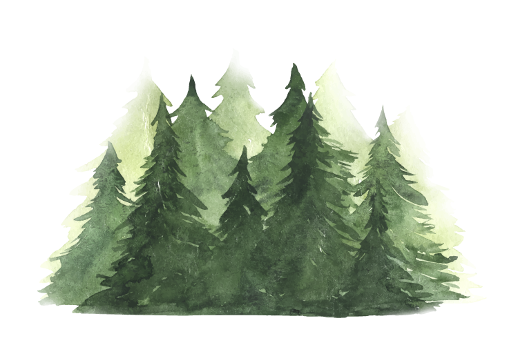 Grafik mit den Verhaltensregeln im Wald am Walderlebnispfad Neuenrade