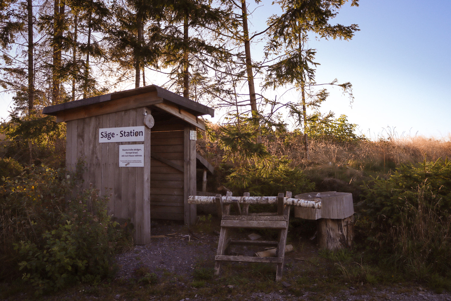 Wald am Walderlebnispfad Neuenrade im Sauerland