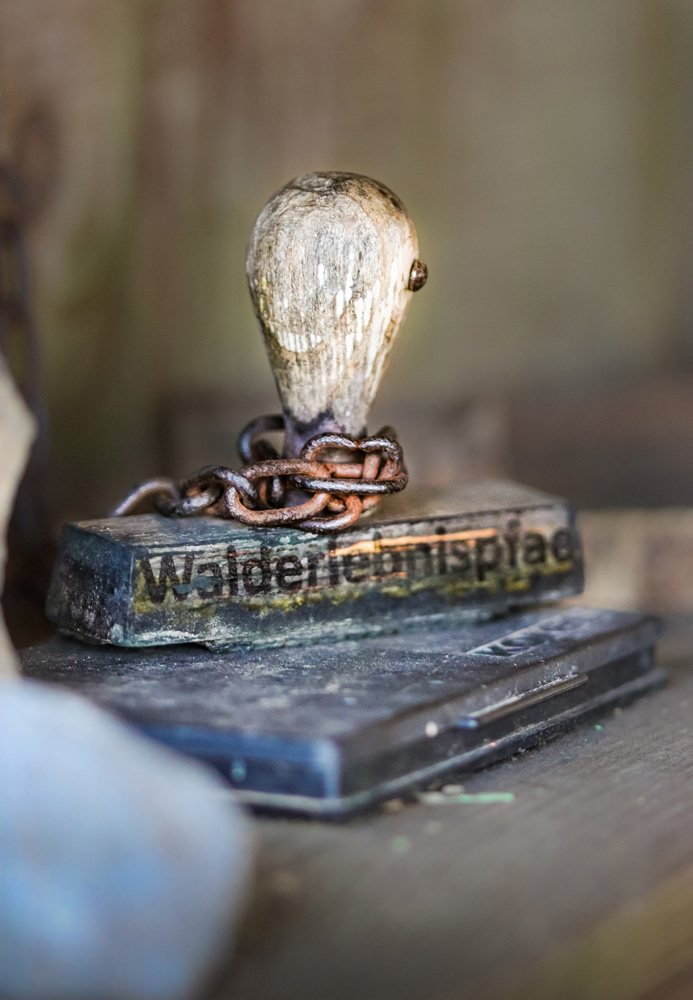Waldweg im Sauerland am Walderlebnispfad Neuenrade