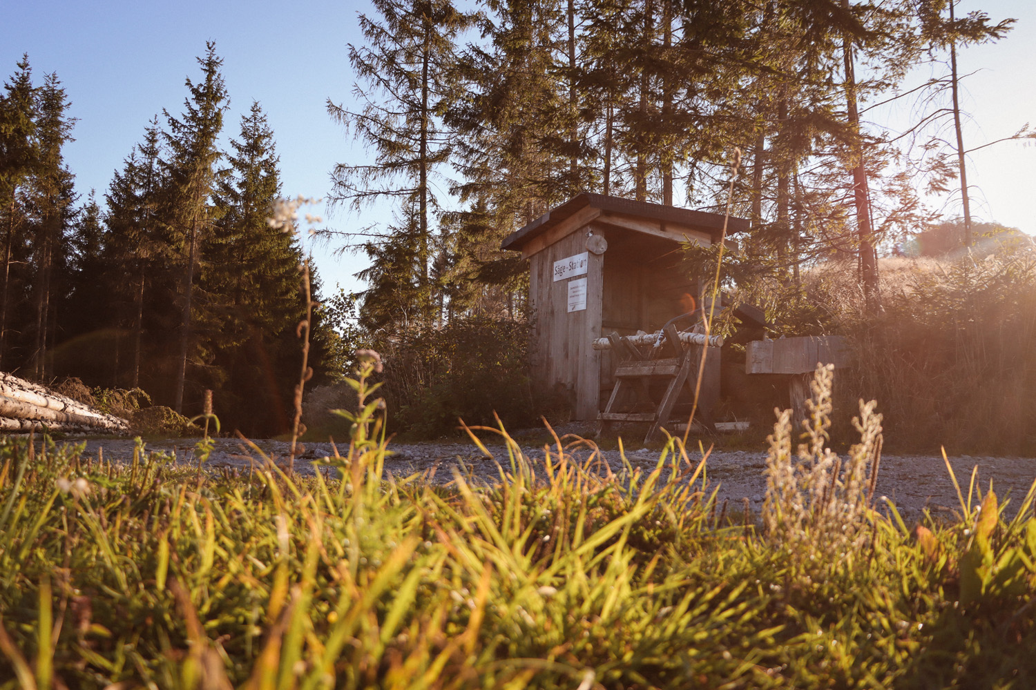 Impression vom Walderlebnispfad Neuenrade im Sauerland