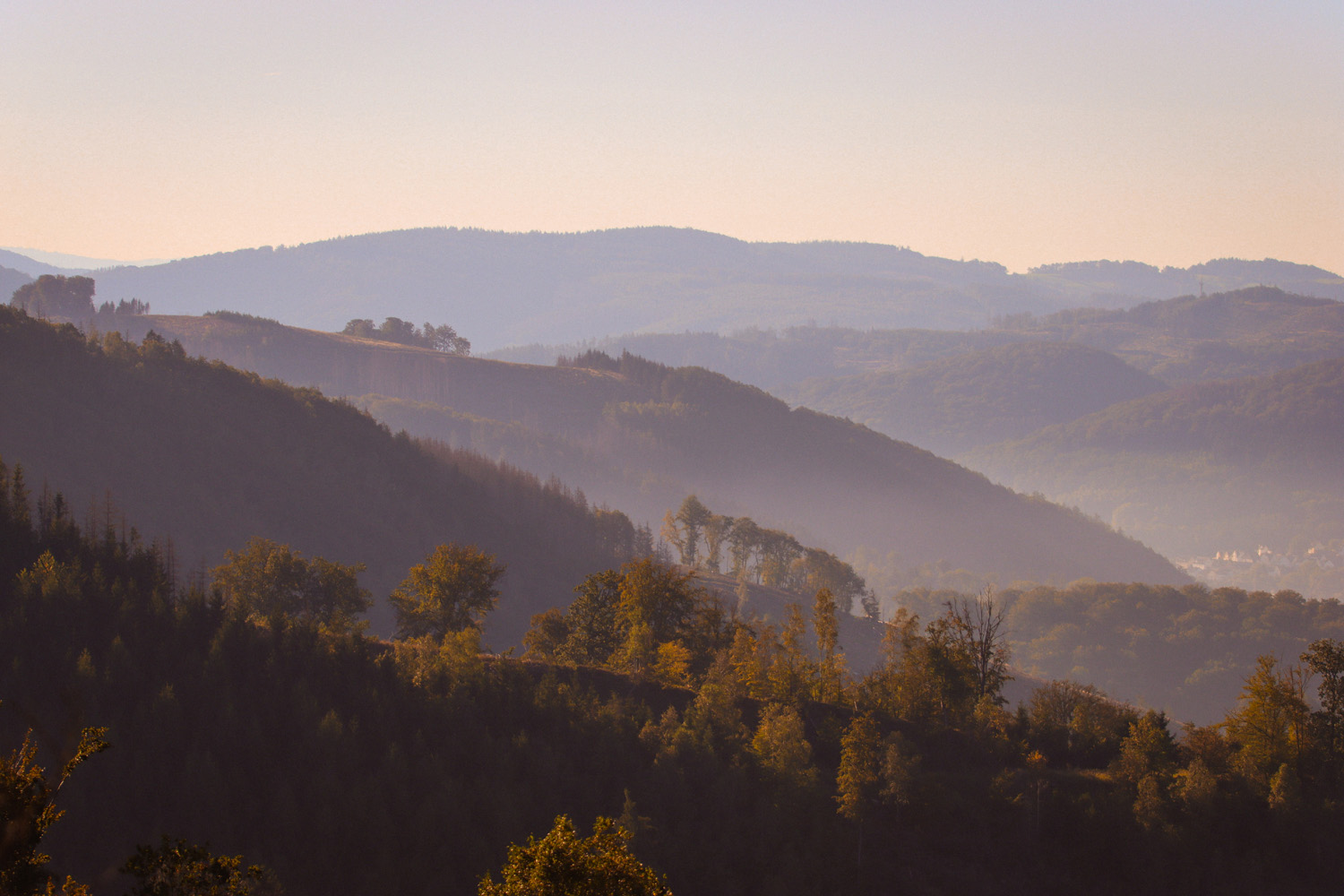 Wald im Sauerland am Walderlebnispfad Neuenrade