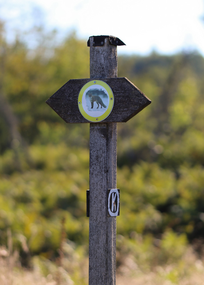 Waldweg an der Waldschule Neuenrade