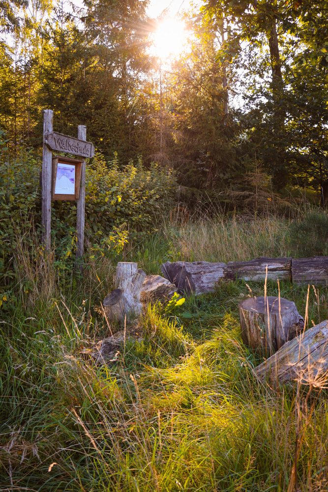 Wald am Walderlebnispfad Neuenrade im Sauerland