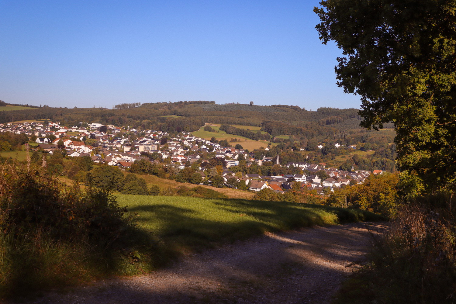 Naturimpression von der Waldschule Neuenrade