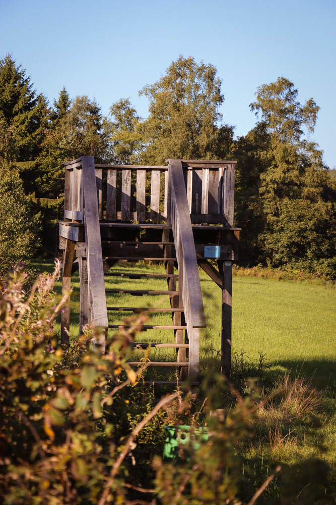 Waldweg am Walderlebnispfad Neuenrade im Sauerland