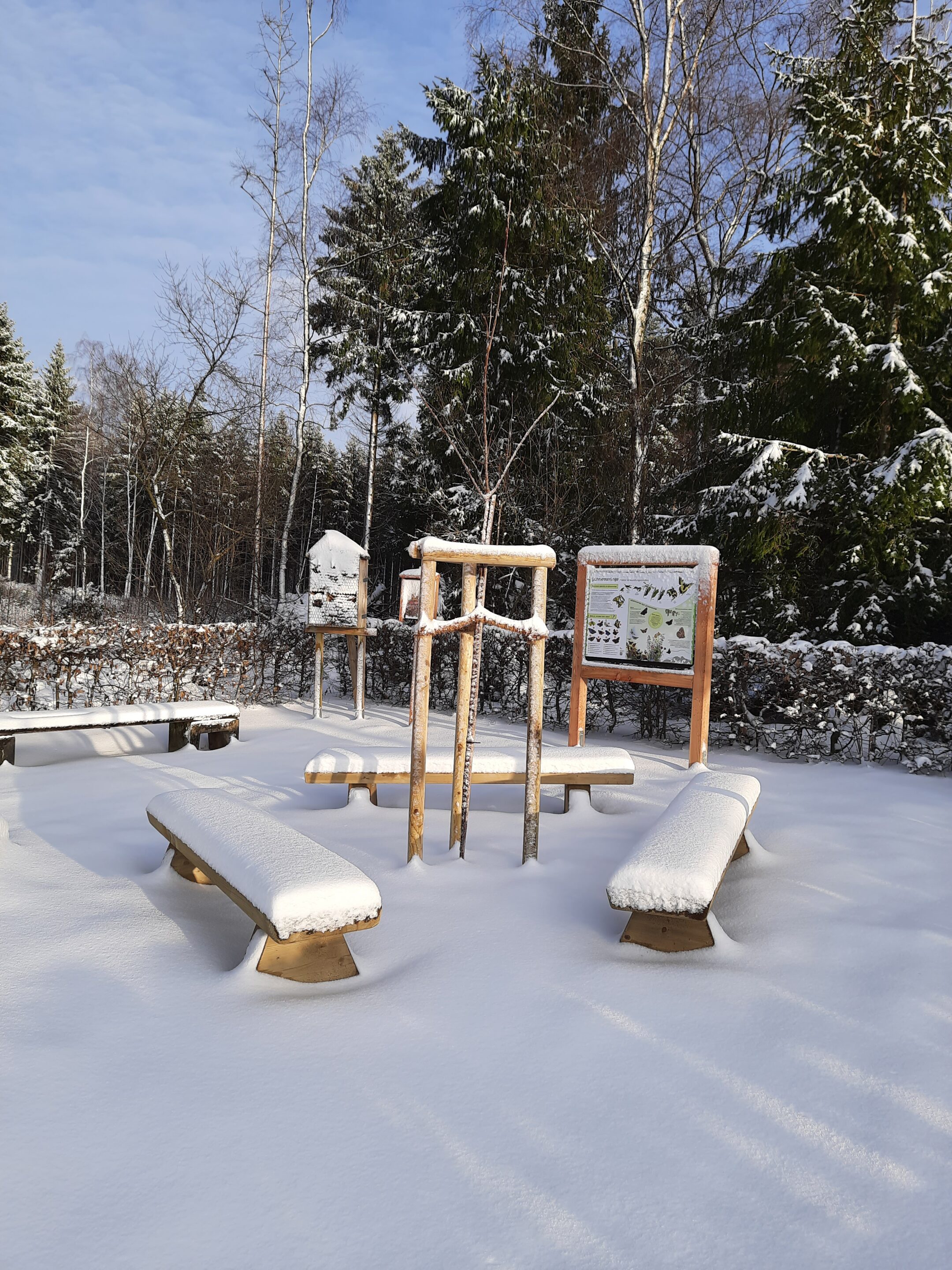 Wildkirsche Winter 2024 2025 @Margarete Kind scaled