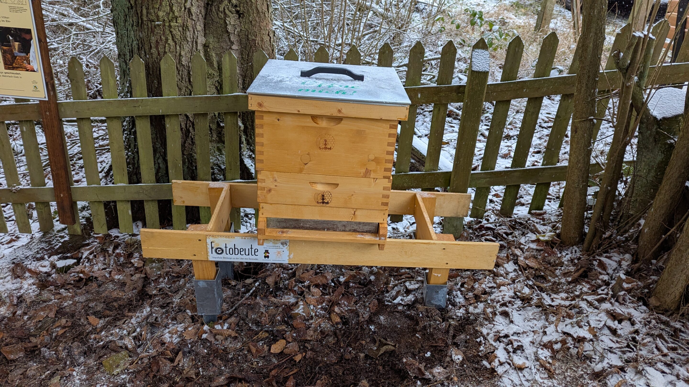 Fotobeute mit Blick ins Innere eines Bienenvolks am Bienenstand Neuenrade