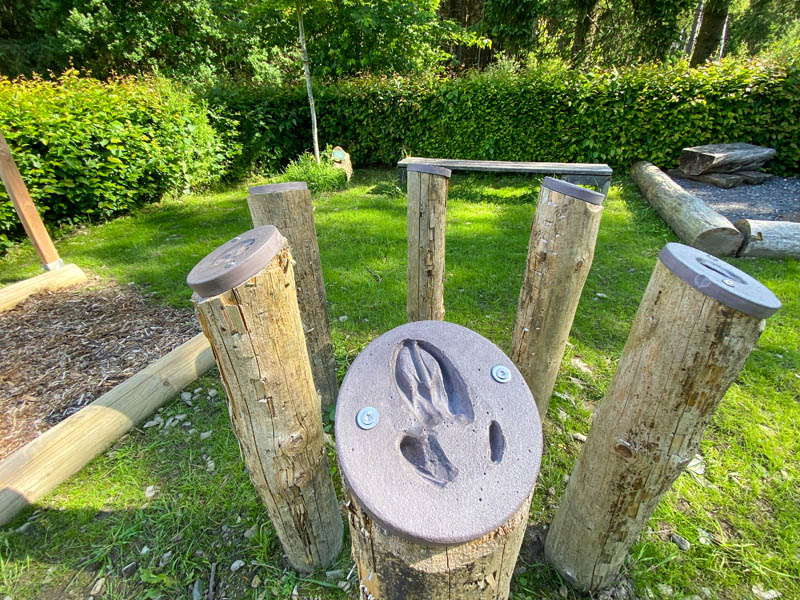 Erlebnisstation an der Waldschule Neuenrade